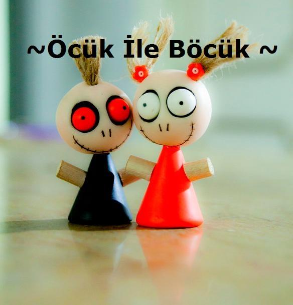 Neden Böcükün Öcüküyüm?