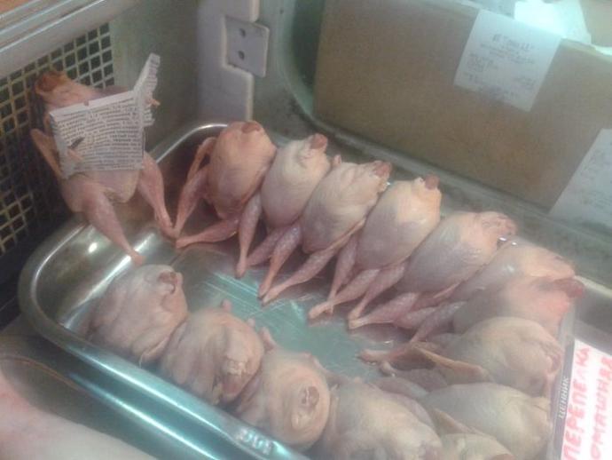 Spor Yapanların Sofrasında Mutlaka Bulunması Gereken 7 Protein Deposu