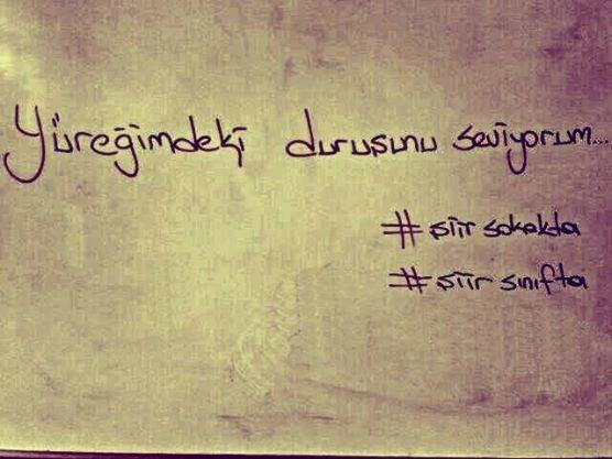 Bir Duvara Şiir Olamadık Seninle Be Sevgili