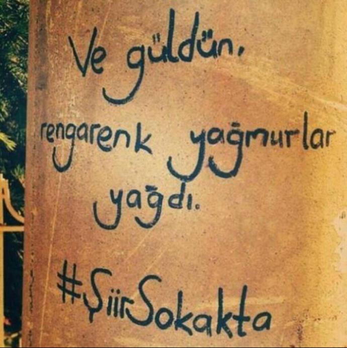 Bir Duvara Şiir Olamadık Seninle Be Sevgili