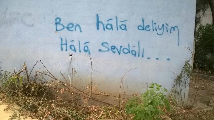 Bir duvara şiir olamadık seninle be sevgili