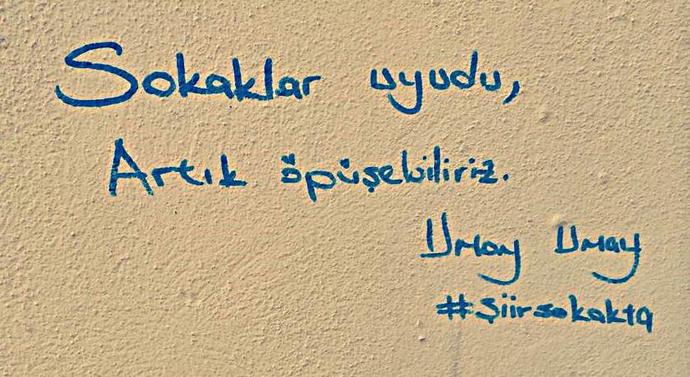Bir Duvara Şiir Olamadık Seninle Be Sevgili