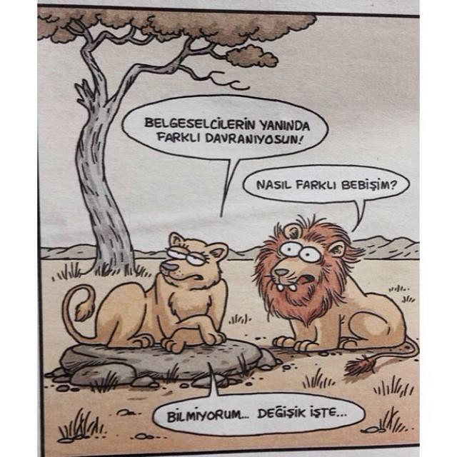 Erkeğin Bir Kadından Beklentileri