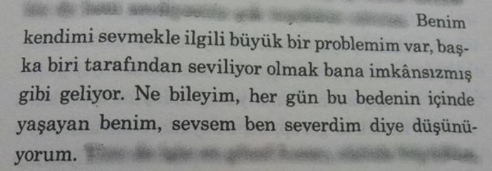 Sev Gitsin Dediler, Sevdim Gitti.