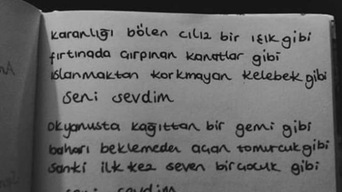 Sev Gitsin Dediler, Sevdim Gitti.