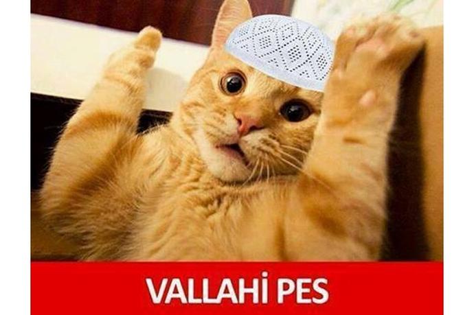 KizlarSoruyor'da 'Bi Bitmediniz' Dedirten Sorular