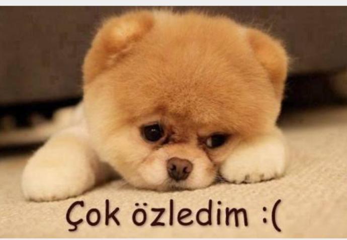 Ruhu doyurun...