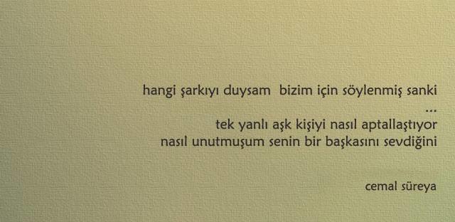Karşılıksız Seven Platonikler
