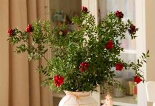 Noel, Yılbaşı, Hanukkah - ya da Siz Yeni Yıla Ne Ad Veriyorsanız - Hakkında Bir Yazı 🎄🎉🎁