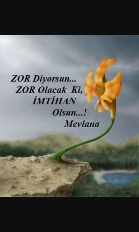 Zamanın acımasızlığına ne denir?