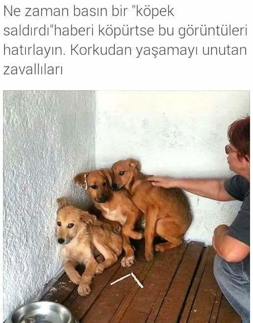 Hiç Bunları Düşünüp Duygulandınız mı?