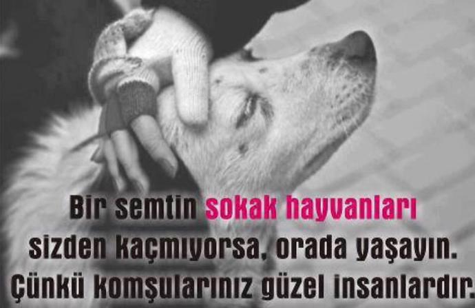 Hiç Bunları Düşünüp Duygulandınız mı?