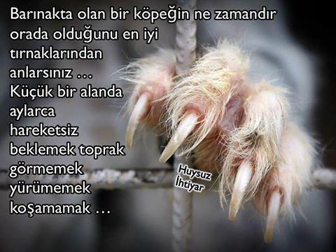 Hiç Bunları Düşünüp Duygulandınız mı?