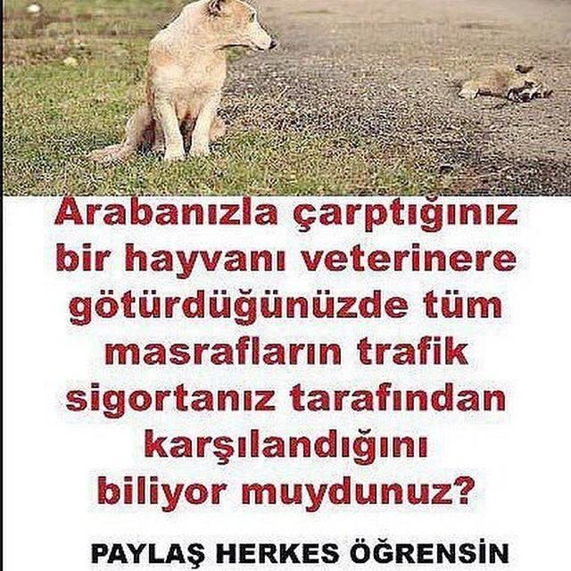 Hiç Bunları Düşünüp Duygulandınız mı?