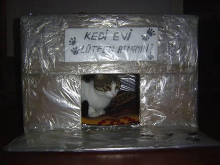 Hiç Bunları Düşünüp Duygulandınız mı?
