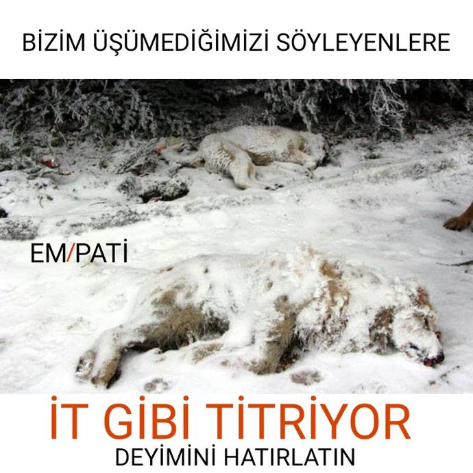 Hiç Bunları Düşünüp Duygulandınız mı?