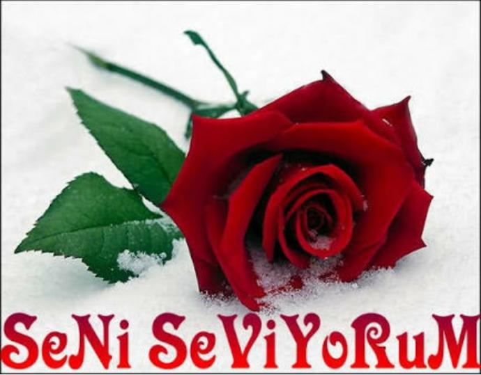 Erkekleri Etkileyen Aşk Sözleri