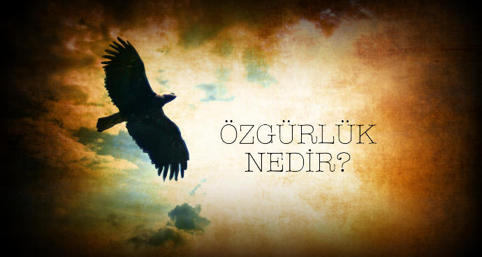 Özgürlük Nedir?