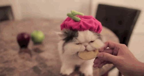 Kadın Yüreği Kedi Gibidir