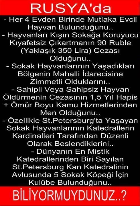 Bir Kızın Feminizmle İlgili Düşünceleri