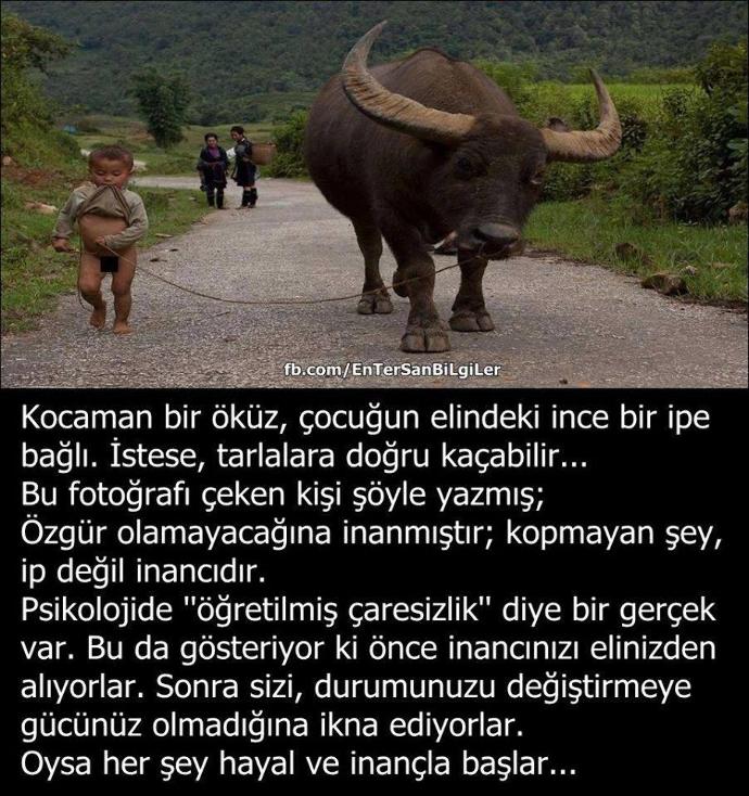 Bir Kızın Feminizmle İlgili Düşünceleri