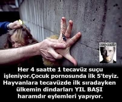 Bir Kızın Feminizmle İlgili Düşünceleri