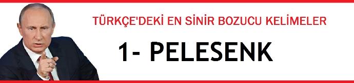 Türkçe'deki En Sinir Bozucu Kelimeleri Tanıyalım