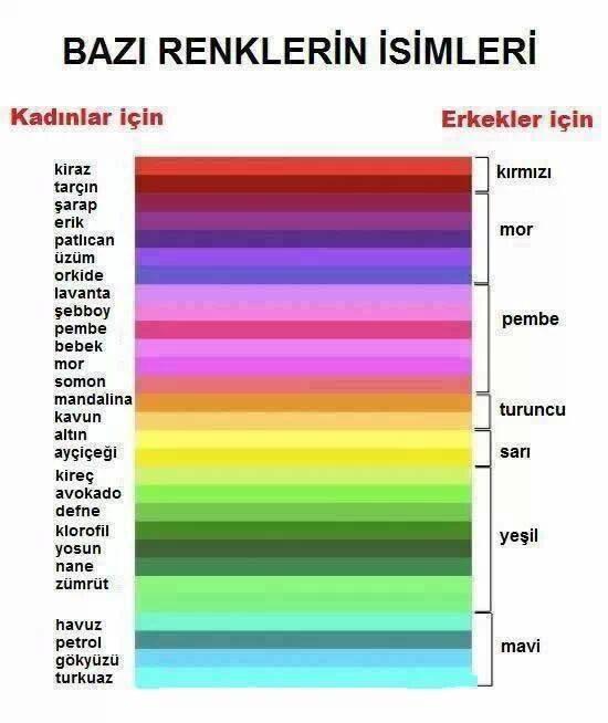 Erkek Ve Kadın Arasındaki Beş Fark