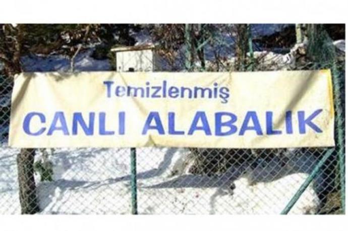 Başka Ülkede Yaşayamam !
