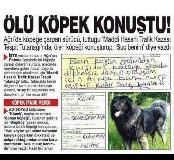 Başka Ülkede Yaşayamam !
