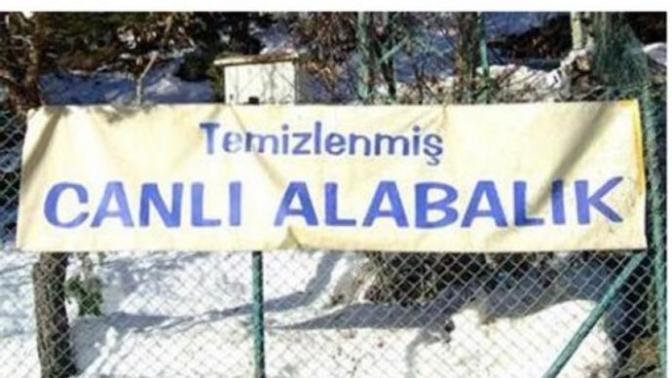 Başka Ülkede Yaşayamam !