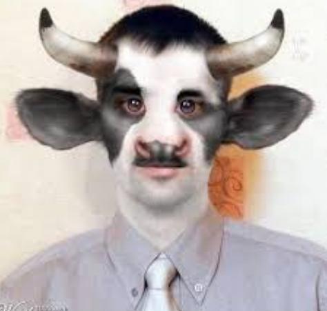 Erkekler Çeşit Çeşittir!