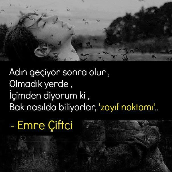 Emre'nin Yazdıkları