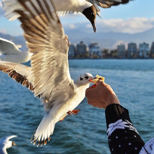 İzmir, Bir Hayatın Başladığı Ama Asla Bitmediği Yer