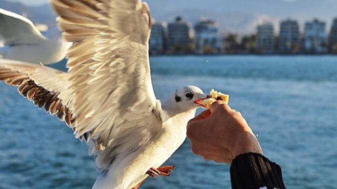 İzmir, Bir Hayatın Başladığı Ama Asla Bitmediği Yer