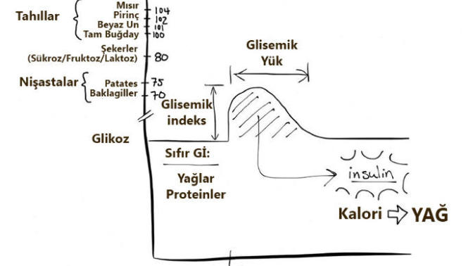 Sağlıklı Beslenmek ve Kilo Vermek İsteyenler İçin Önemli Bilgiler