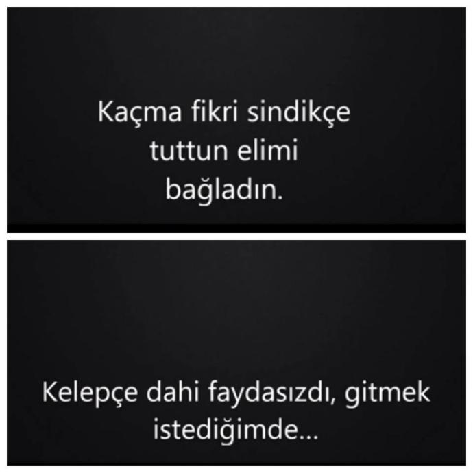 Aldattım, Pişman Değilim!
