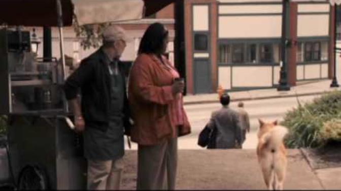 Köpek Konulu En Güzel Filmler