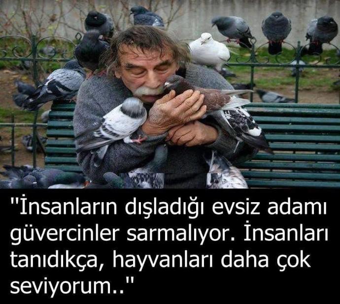 Hayatın Paylaşınca Güzel Olduğunu Hatırladığımız Güzel Bir Bence