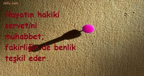 Siz kim misiniz? Siz insansınız...