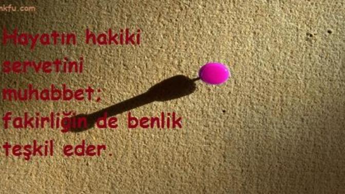 Siz kim misiniz? Siz insansınız