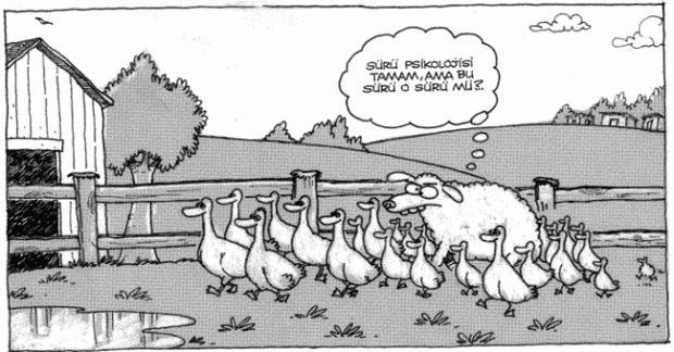 Hayat Takva İle Daha Mantıklı