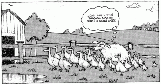 Hayat Takva İle Daha Mantıklı
