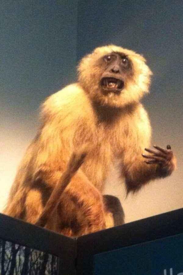 Diyet Yapanların Aşina Olduğu 10 Yüz İfadesi
