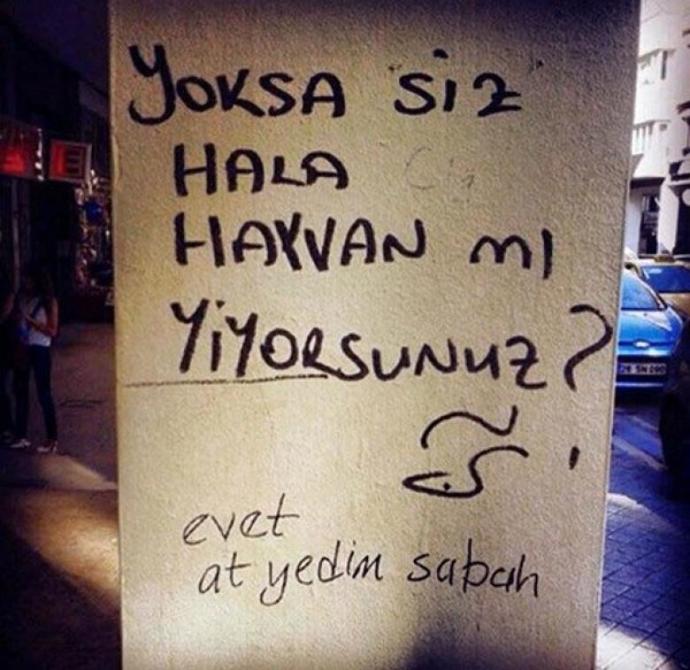 Hayatı Sorgulatan Duvar Yazıları