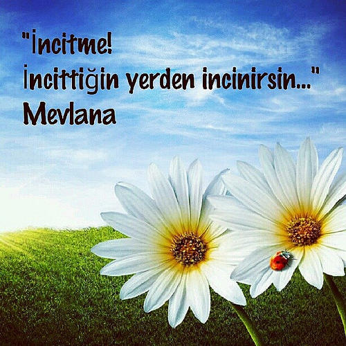 Hayatta kendinizi daha iyi hissettirecek 4 tavsiye