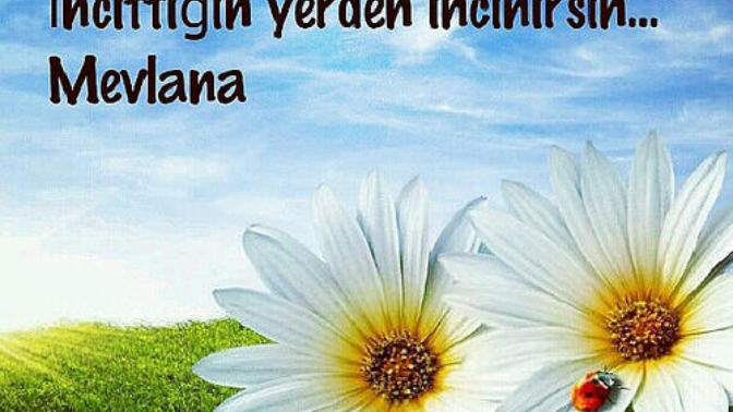 Hayatta Kendinizi Daha İyi Hissettirecek 4 Tavsiye