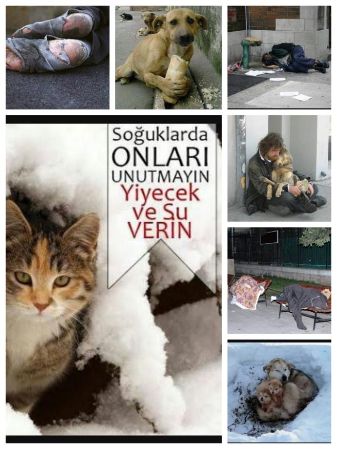 Kışı Sevmek İçin Bahaneler