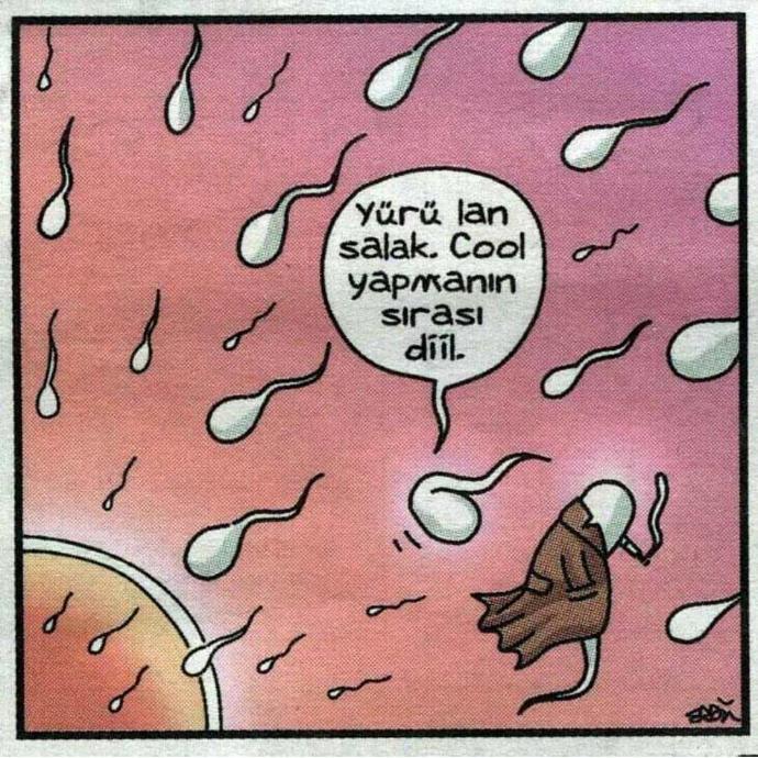 Kadınları Cezbeden Erkeksi Özellikler