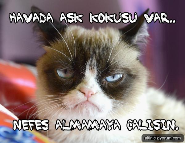 Şubat Ayı Dert Ayı